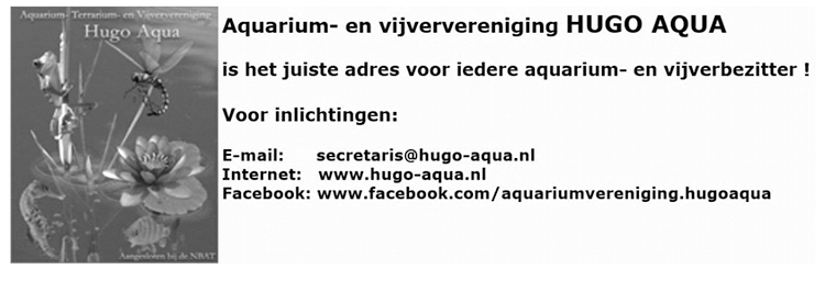 Advertentie Hugo Aqua